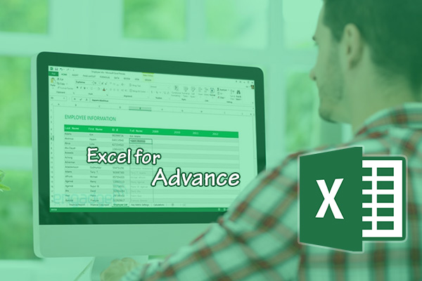 Excel Advanced Course